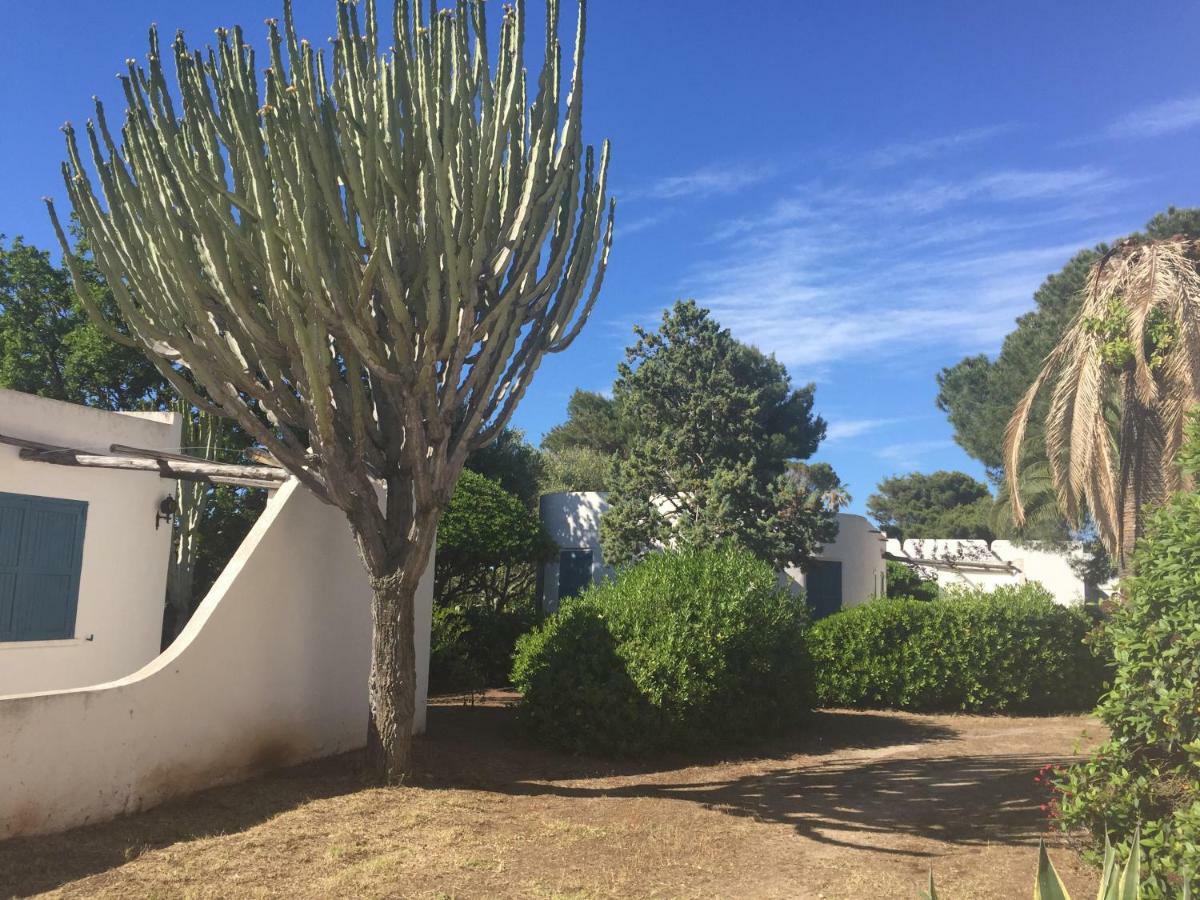 Residenza Gherly Aparthotel Capo Vaticano Exterior foto